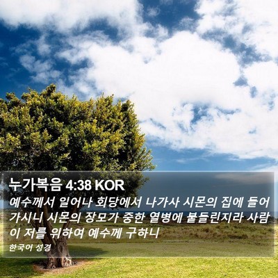 누가복음 4:38 KOR Bible Verse Image