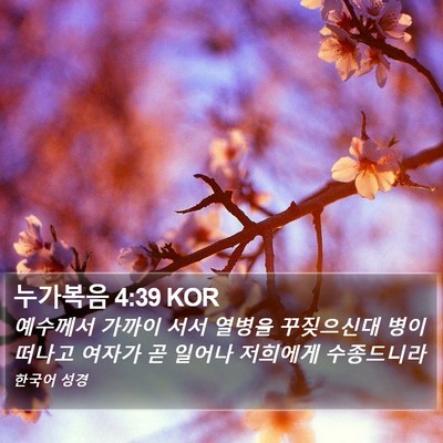 누가복음 4:39 KOR Bible Verse Image