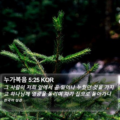 누가복음 5:25 KOR Bible Verse Image