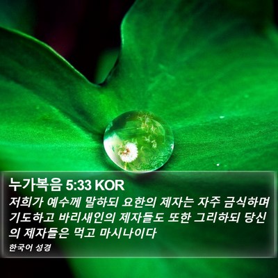 누가복음 5:33 KOR Bible Verse Image