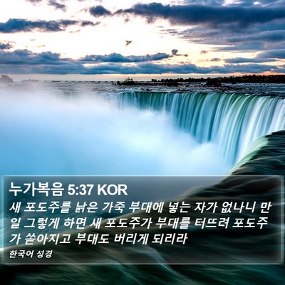 누가복음 5:37 KOR Bible Verse Image