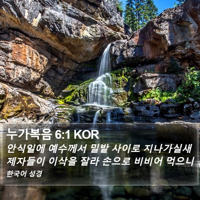 누가복음 6:1 KOR Bible Verse Image