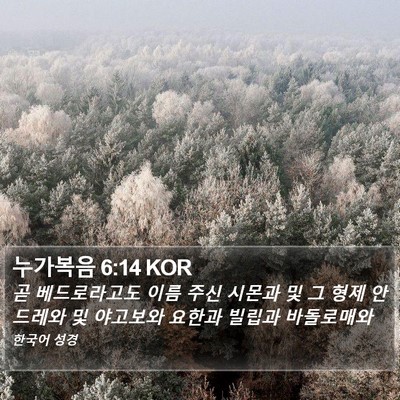 누가복음 6:14 KOR Bible Verse Image