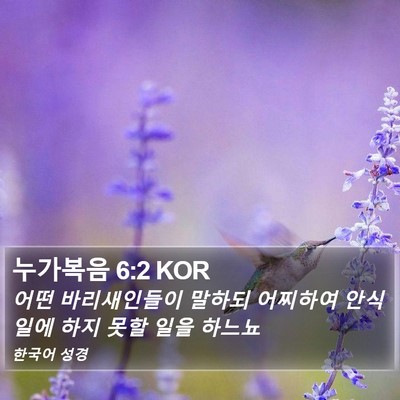 누가복음 6:2 KOR Bible Verse Image