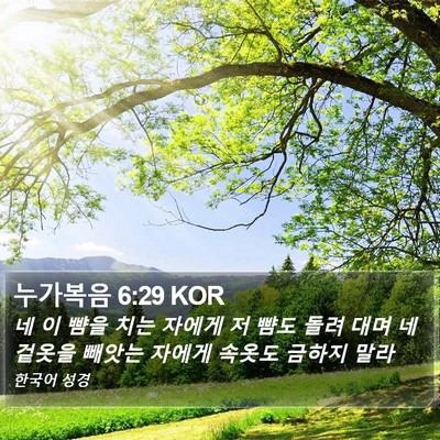 누가복음 6:29 KOR Bible Verse Image