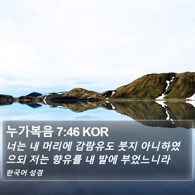 누가복음 7:46 KOR Bible Verse Image
