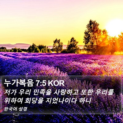 누가복음 7:5 KOR Bible Verse Image