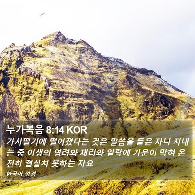 누가복음 8:14 KOR Bible Verse Image
