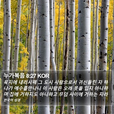 누가복음 8:27 KOR Bible Verse Image