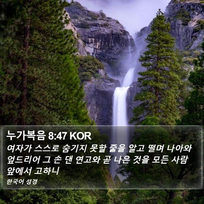누가복음 8:47 KOR Bible Verse Image