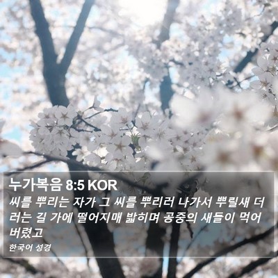 누가복음 8:5 KOR Bible Verse Image