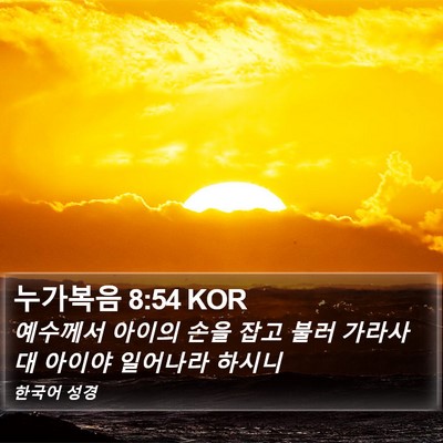 누가복음 8:54 KOR Bible Verse Image