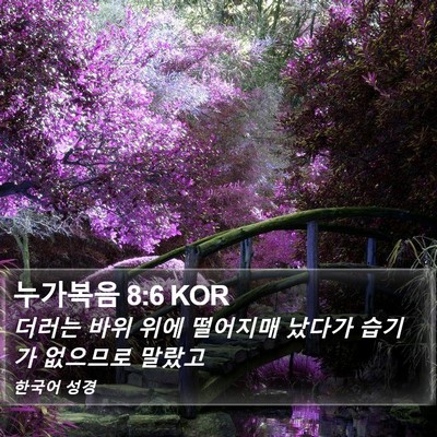누가복음 8:6 KOR Bible Verse Image