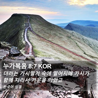 누가복음 8:7 KOR Bible Verse Image