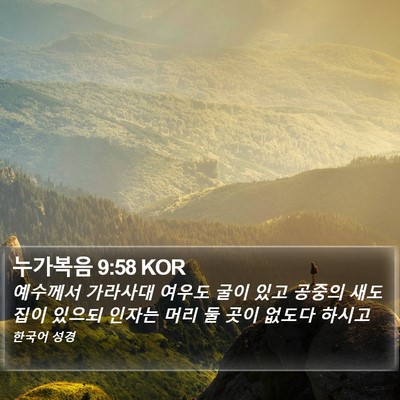 누가복음 9:58 KOR Bible Verse Image