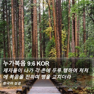 누가복음 9:6 KOR Bible Verse Image