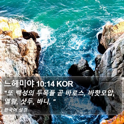 느헤미야 10:14 KOR Bible Verse Image