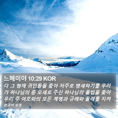 느헤미야 10:29 KOR Bible Verse Image