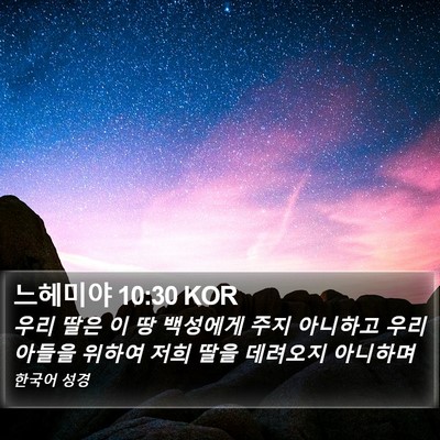 느헤미야 10:30 KOR Bible Verse Image