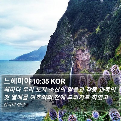 느헤미야 10:35 KOR Bible Verse Image