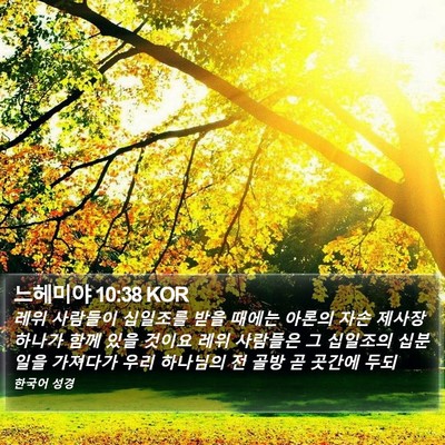 느헤미야 10:38 KOR Bible Verse Image