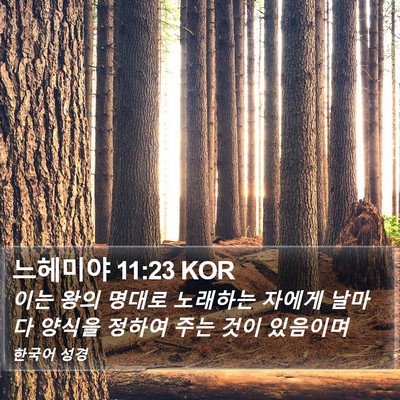 느헤미야 11:23 KOR Bible Verse Image