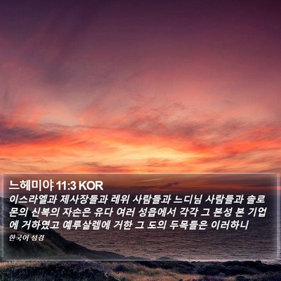 느헤미야 11:3 KOR Bible Verse Image