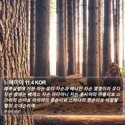 느헤미야 11:4 KOR Bible Verse Image