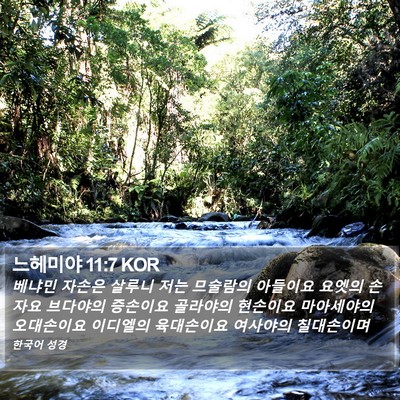 느헤미야 11:7 KOR Bible Verse Image