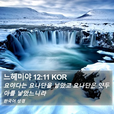느헤미야 12:11 KOR Bible Verse Image