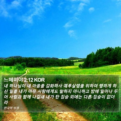 느헤미야 2:12 KOR Bible Verse Image