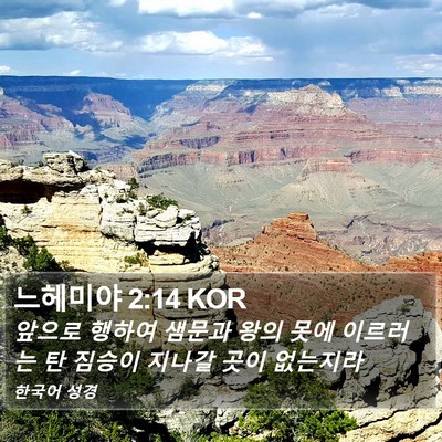 느헤미야 2:14 KOR Bible Verse Image