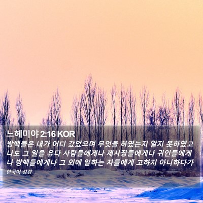 느헤미야 2:16 KOR Bible Verse Image