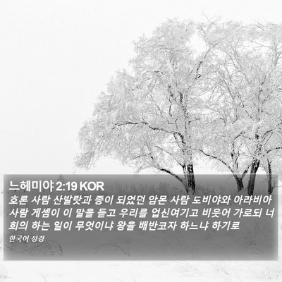 느헤미야 2:19 KOR Bible Verse Image