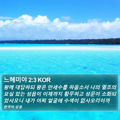 느헤미야 2:3 KOR Bible Verse Image