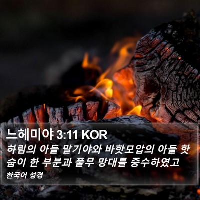 느헤미야 3:11 KOR Bible Verse Image