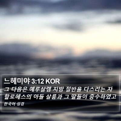 느헤미야 3:12 KOR Bible Verse Image