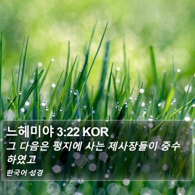 느헤미야 3:22 KOR Bible Verse Image
