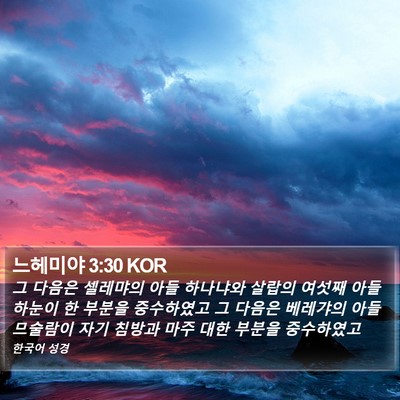 느헤미야 3:30 KOR Bible Verse Image