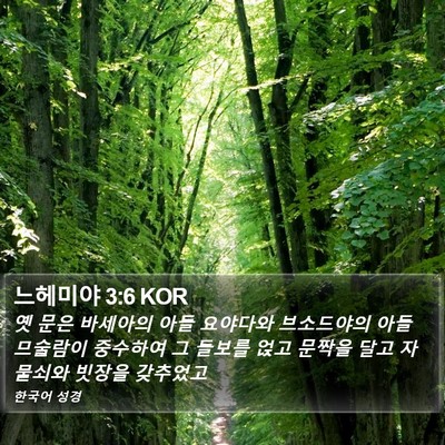 느헤미야 3:6 KOR Bible Verse Image