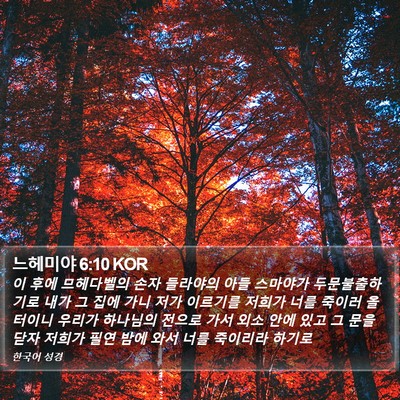 느헤미야 6:10 KOR Bible Verse Image