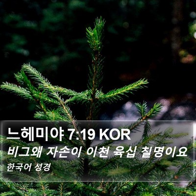 느헤미야 7:19 KOR Bible Verse Image