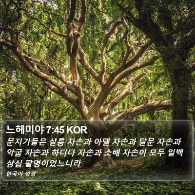 느헤미야 7:45 KOR Bible Verse Image