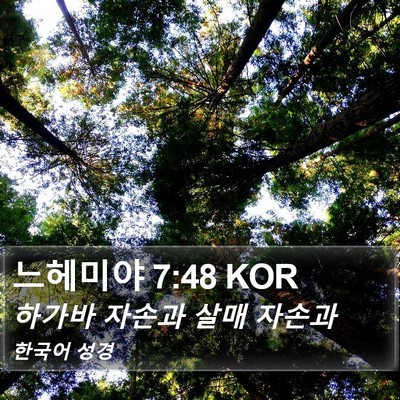 느헤미야 7:48 KOR Bible Verse Image