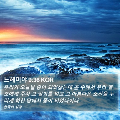느헤미야 9:36 KOR Bible Verse Image