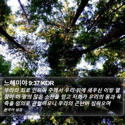 느헤미야 9:37 KOR Bible Verse Image