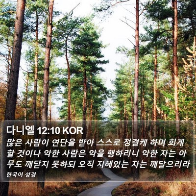 다니엘 12:10 KOR Bible Verse Image