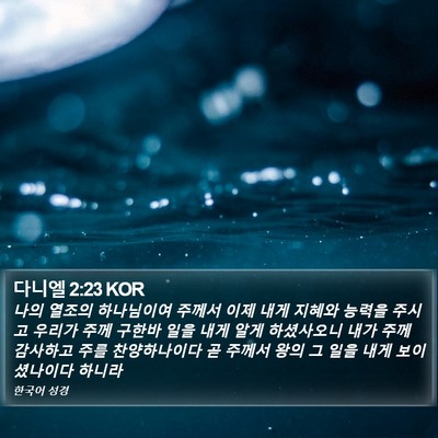 다니엘 2:23 KOR Bible Verse Image