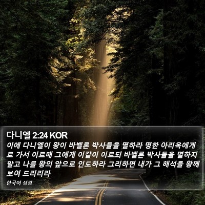 다니엘 2:24 KOR Bible Verse Image
