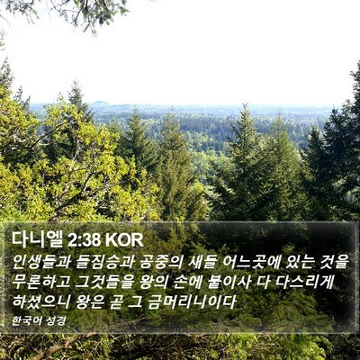 다니엘 2:38 KOR Bible Verse Image